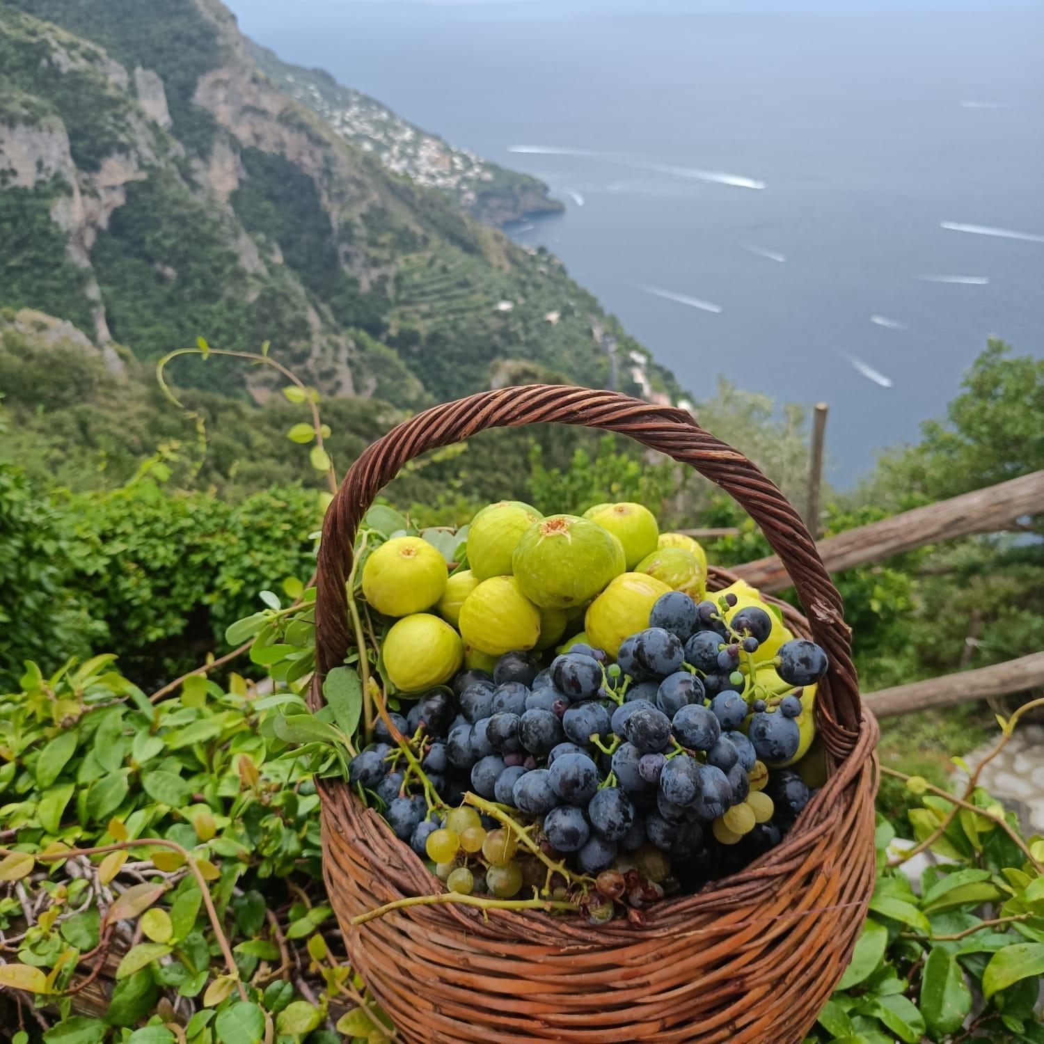 Apartment Antica Macina Positano