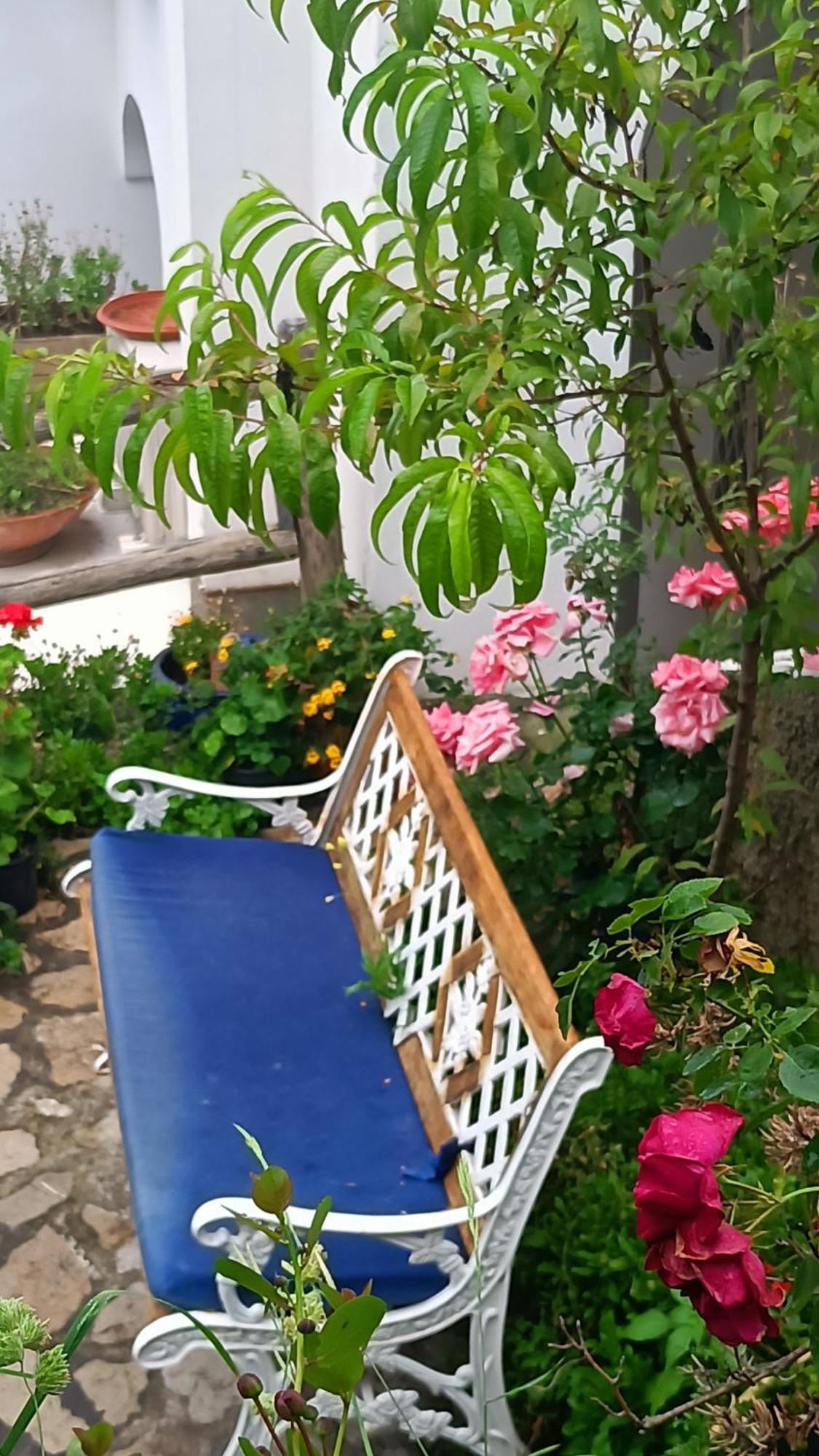 Apartment Antica Macina