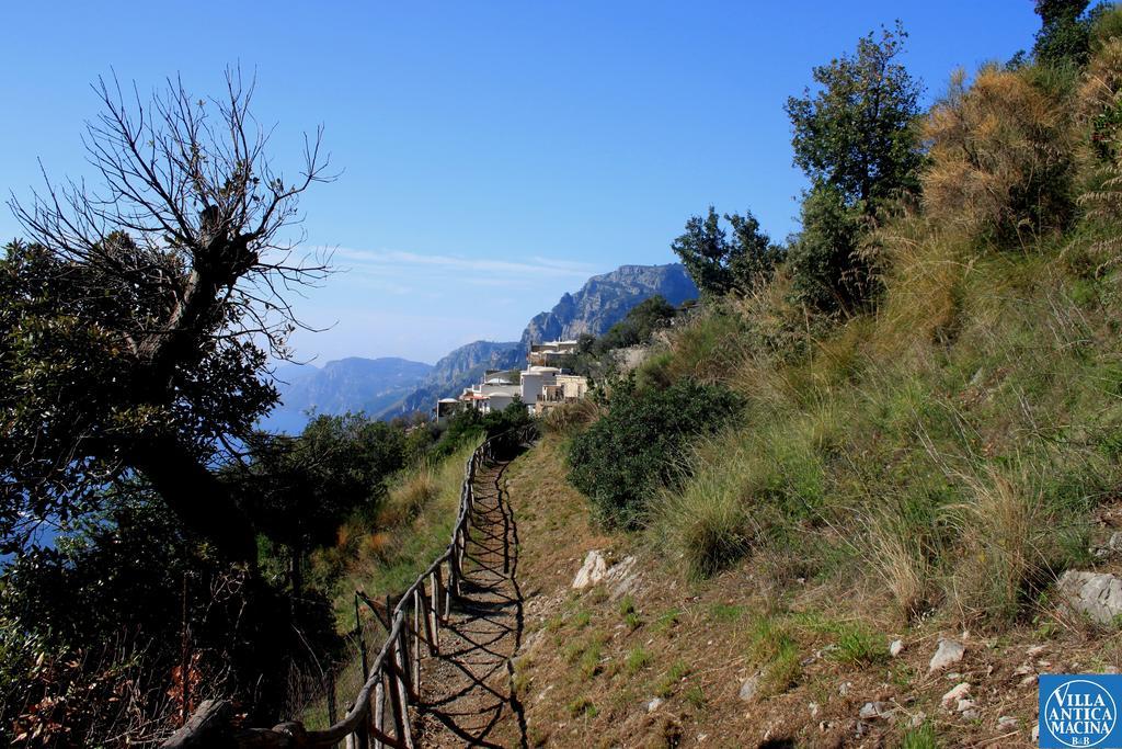 Apartment Antica Macina *
