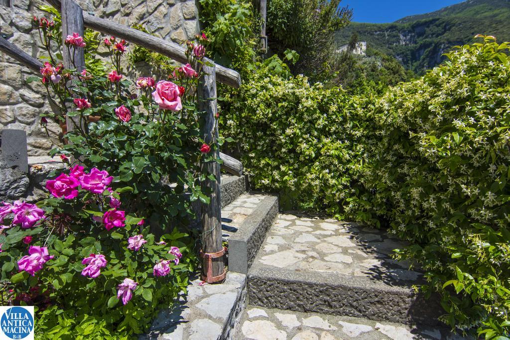 Antica Macina Positano